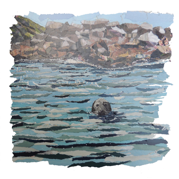 Seal Island a Kirstie Adamson