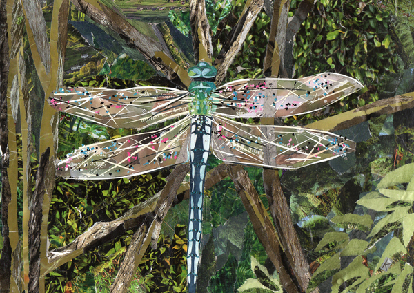 Turquoise Dragonfly a Kirstie Adamson