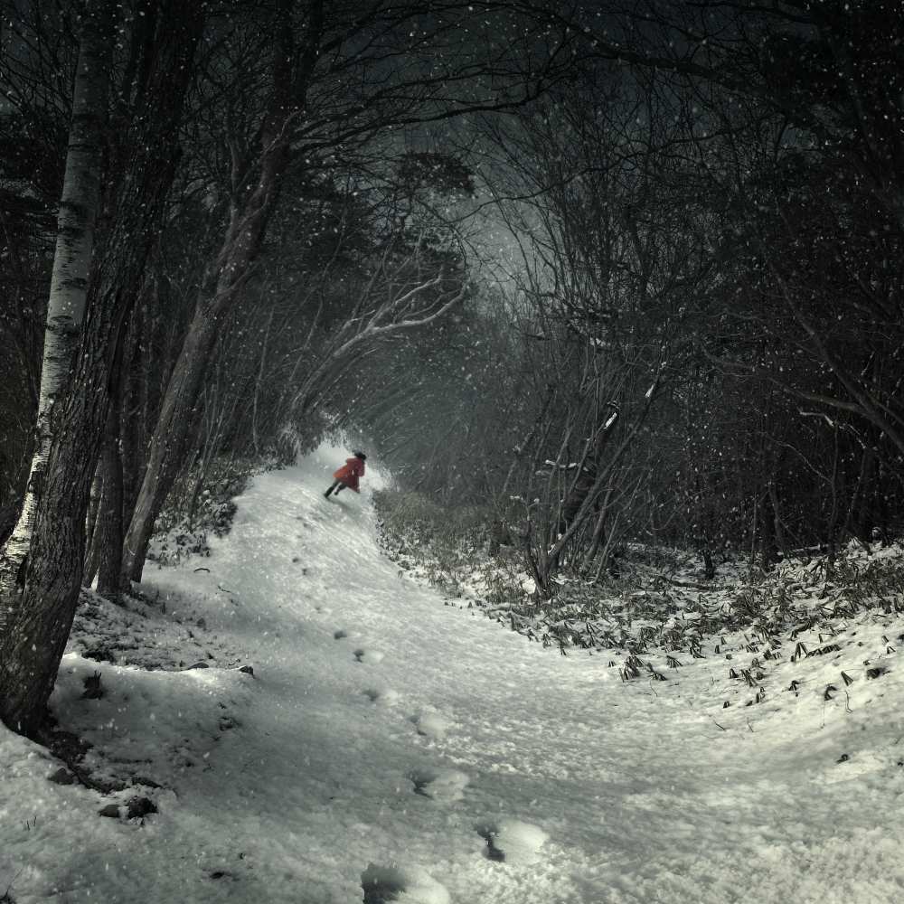 Into the winter forest a Kiyo Murakami