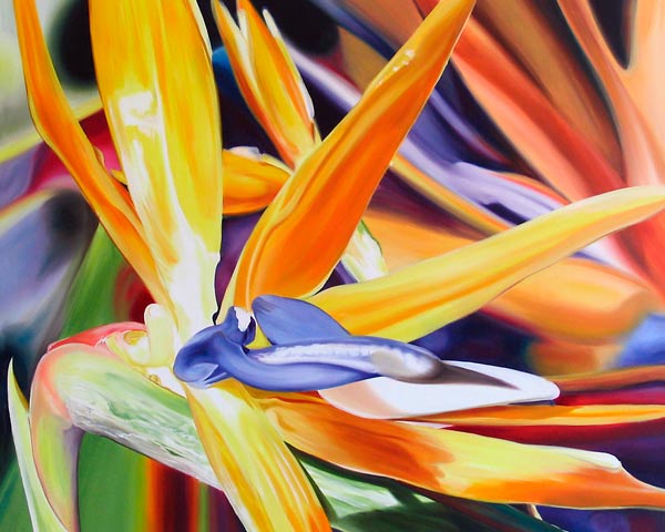Birds of Paradise a James Knowles