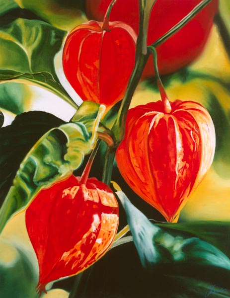 Chinese Lanterns a James Knowles