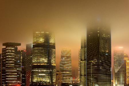 Urban Forest in Mist