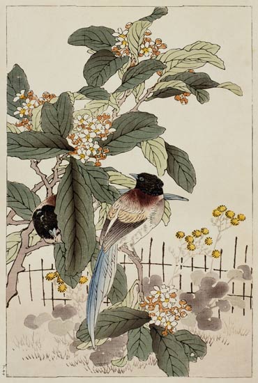 Blue tailed birds among the blossom from Bunrei Kacho Gafu, pub. 1885, and a Kono Bairei