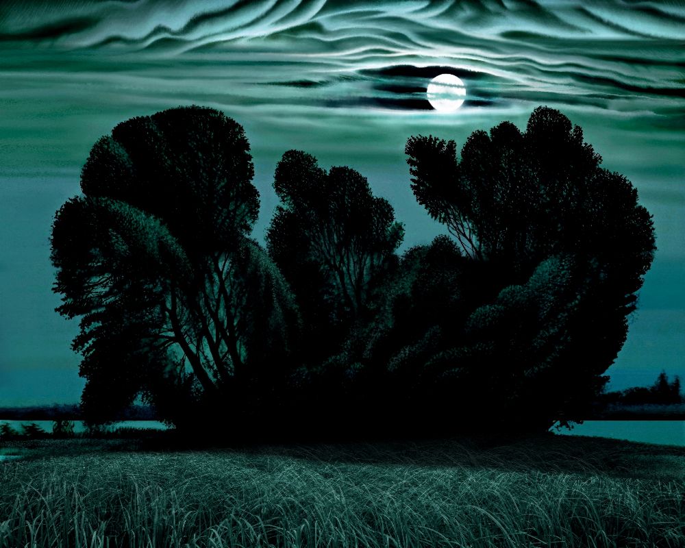 Der Mond über den Hain a Konstantin Avdeev