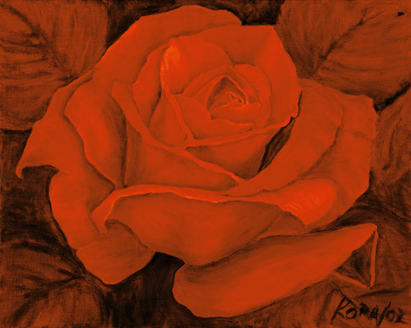 Red Rose Castella a Kora Olbrich