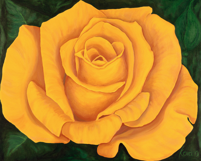 Yellow Rose Landora a Kora Olbrich