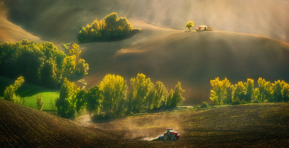 Autumn fields... a Krzysztof Browko