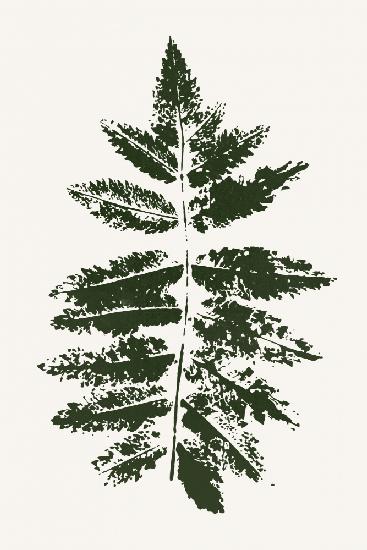Oak Leaf Print (green)