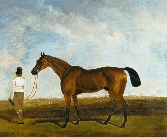A groom leading a bay racehorse a Lambert Marshall