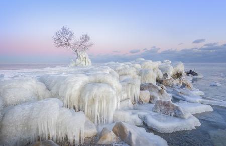 Ice Wonderland