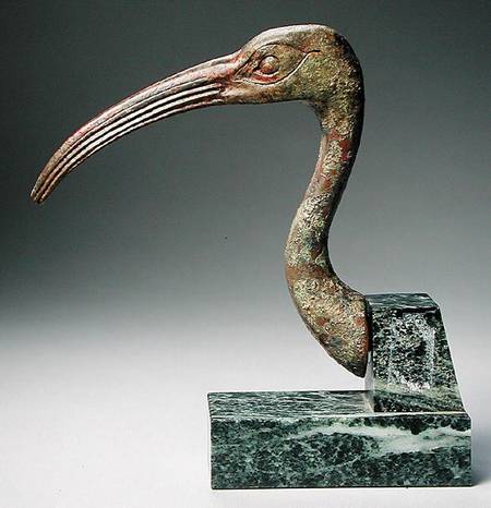 Head of an ibis a Late Period Egyptian