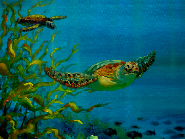 Green Turtle a Lee Campbell