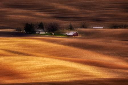 Farmhouse on Golden Fields