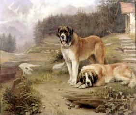 Two St. Bernards in an Alpine Landscape