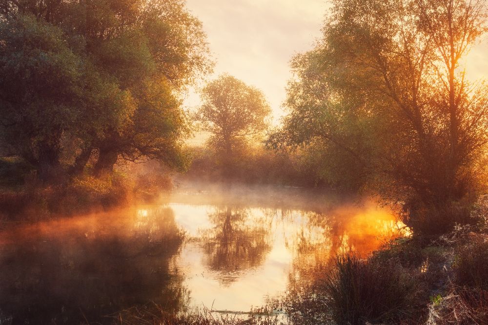 When Nature Paints with Light II a Leicher Oliver