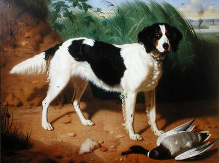Portrait of a Dog a Leon Viardot