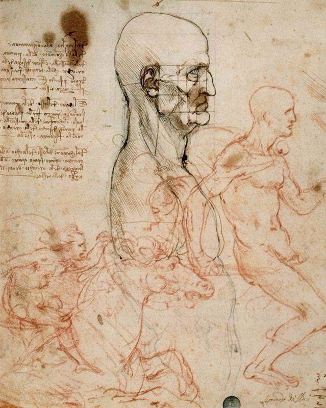 Anatomical studies a Leonardo da Vinci