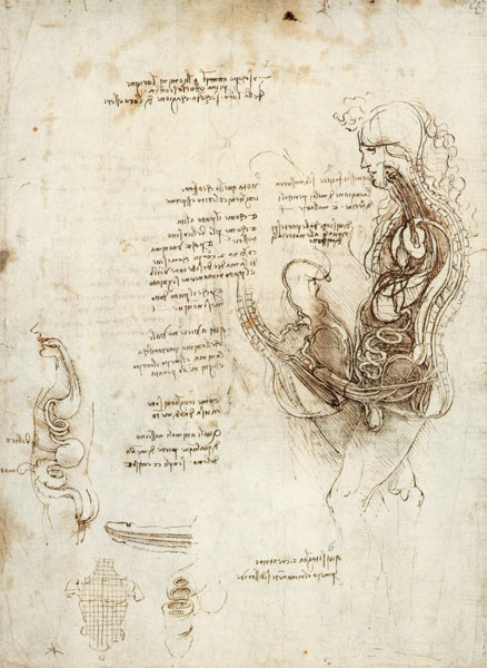 Coition of Hemisected Man and Woman, facsimile copy  & a Leonardo da Vinci