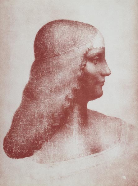 Head of a Woman in Profile a Leonardo da Vinci