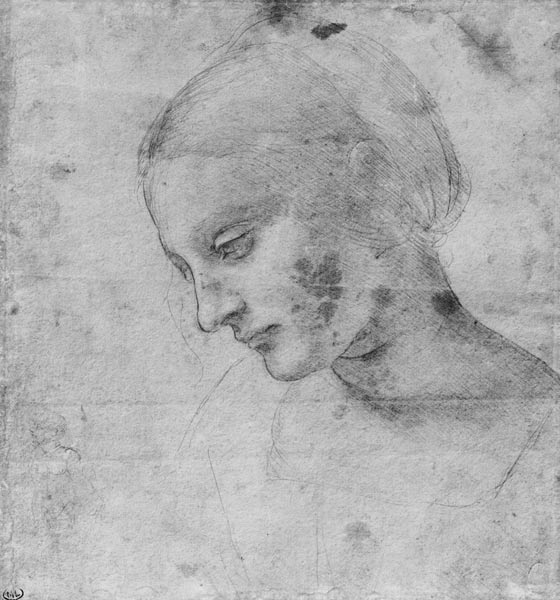 Head of a Young Woman or Head of the Virgin a Leonardo da Vinci