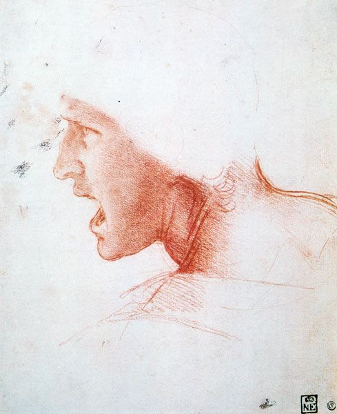 Study of a Warrior's Head for the Battle of Anghiari a Leonardo da Vinci