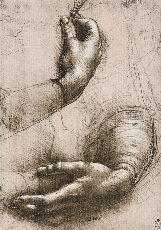 Studie der Hände einer Frau a Leonardo da Vinci