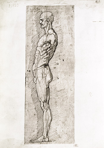 Anatomical Study a Leonardo da Vinci