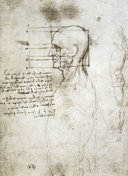 Head of an Old Man in Profile, facsimile copy  and a Leonardo da Vinci