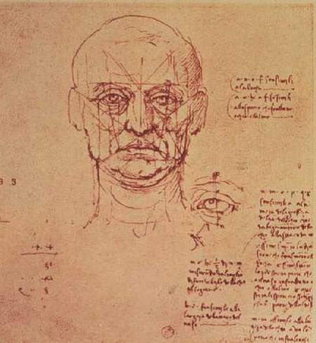 Drawing of the proportions of the head and eye a Leonardo da Vinci