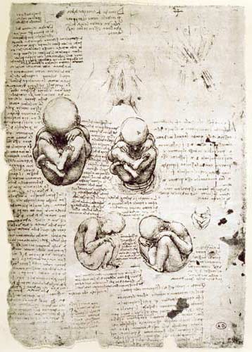Cinque vedute del feto nell'utero - facsimile a Leonardo da Vinci