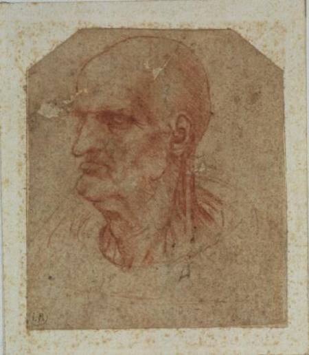 Head of a beardless old man, left profile a Leonardo da Vinci