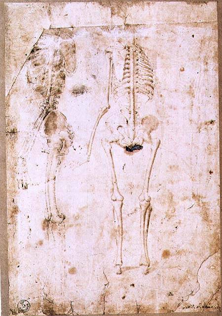 Two studies of a hanging skeleton (pen & ink with wash) a Leonardo da Vinci