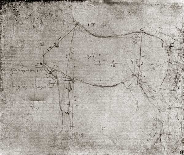 Study of a Horse a Leonardo da Vinci