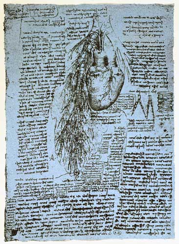 Il cuore e le arterie, facsimile del libro di Wndsor a Leonardo da Vinci