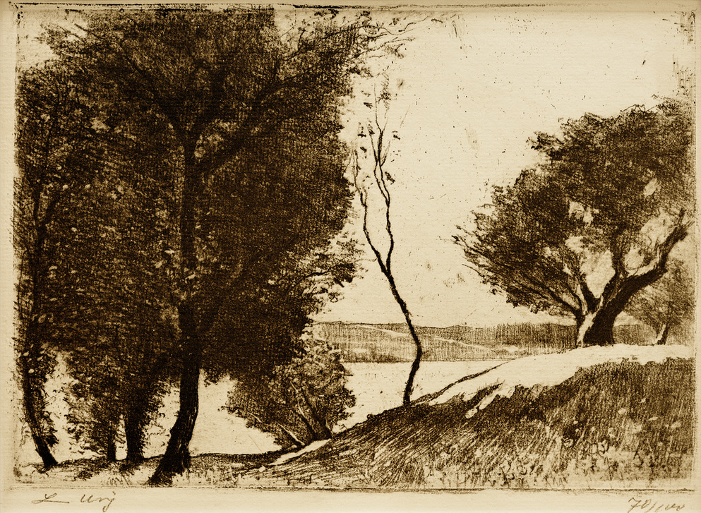 Baumbestandenes Ufer am märkischen See a Lesser Ury