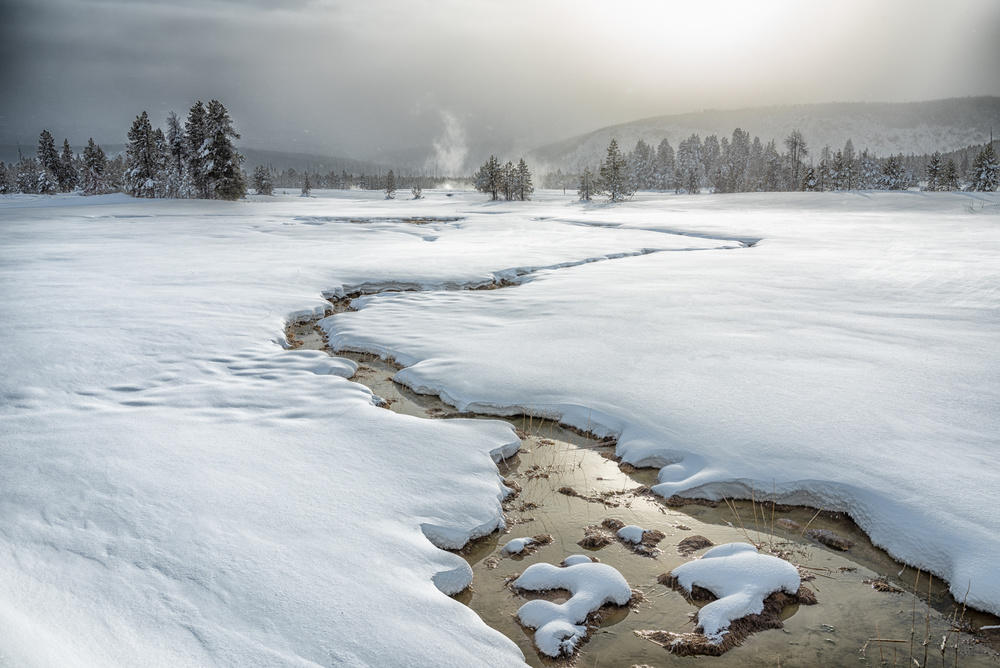 Winter at Yellowstone a Li Qun Xia