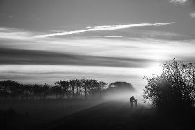 Terschelling