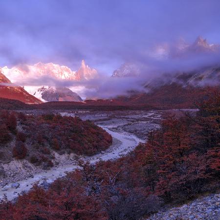 Foggy  morning in Patagonia