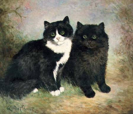 A Pair of Pussy Cats a Lilian Cheviot