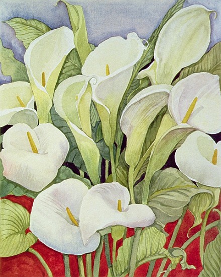 Arum Lillies, 1978 (watercolour) a Lillian  Delevoryas