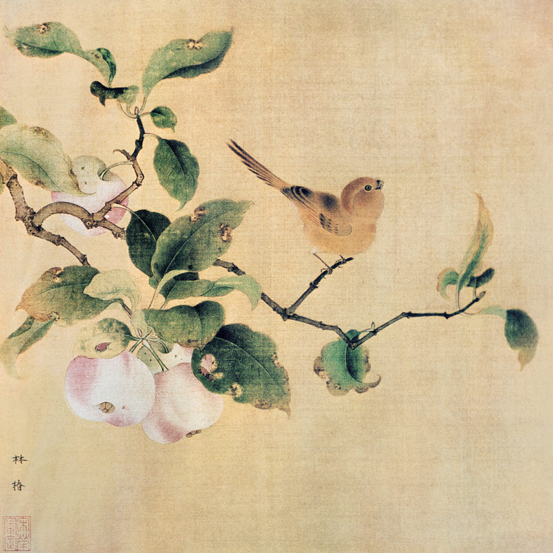 Vogel und reifende Aepfel a Lin-Tschun chinesischer Maler der Sung-Zeit