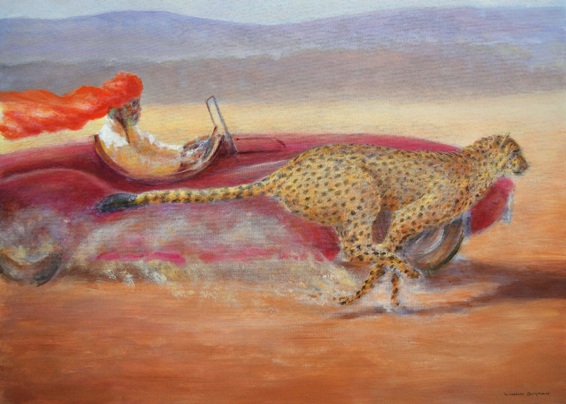 Cheetah versus Jaguar a Lincoln  Seligman