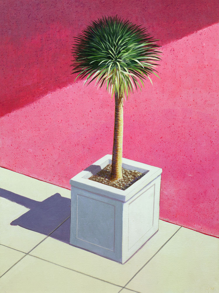 Small palm, 1995 (acrylic on canvas)  a Lincoln  Seligman