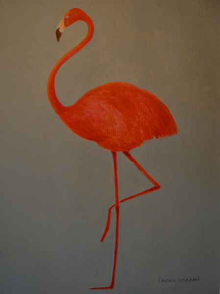 Flamingo a Lincoln  Seligman
