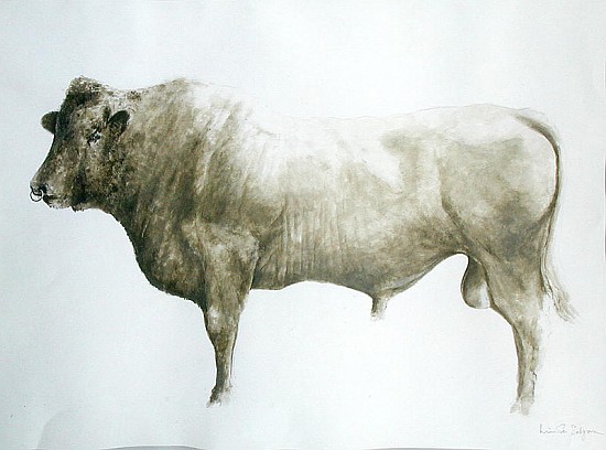 Islay Bull, 2004 (acrylic on canvas)  a Lincoln  Seligman
