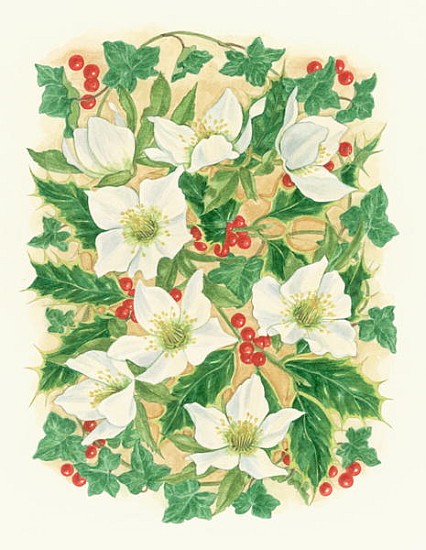 Christmas Roses, 1997 (w/c on paper)  a Linda  Benton