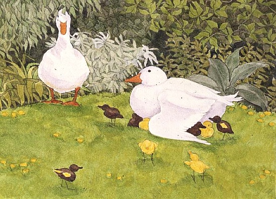 Ducks and Ducklings a Linda  Benton