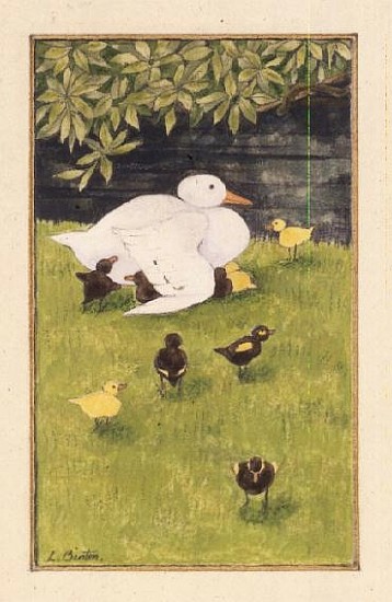 Mother Duck with Ducklings a Linda  Benton