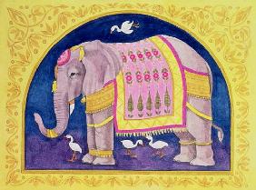 Indian Elephant