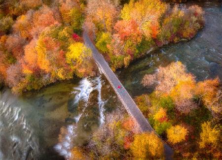 Autumn Bridge